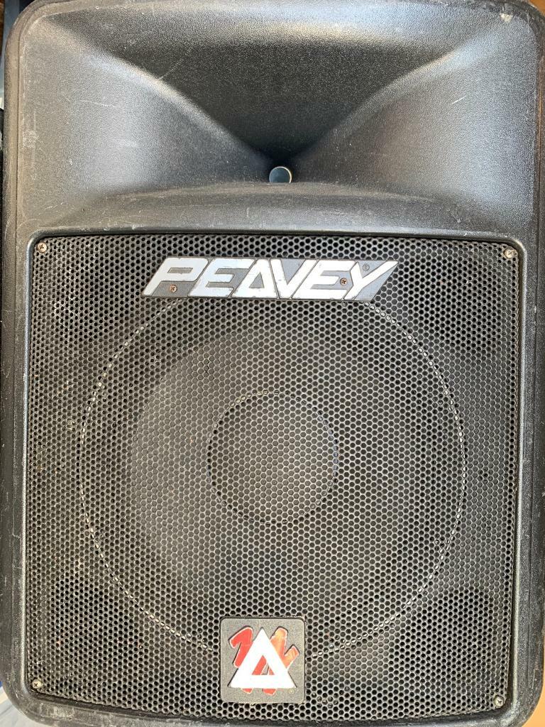 peavey impulse 200 speakers